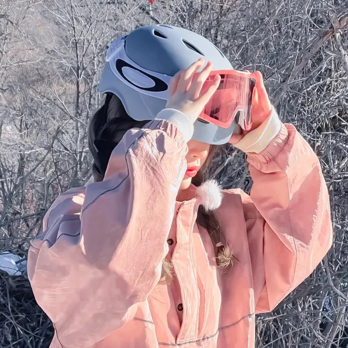 羊与钢之森