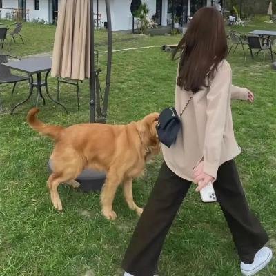 古灵精怪玛德琳